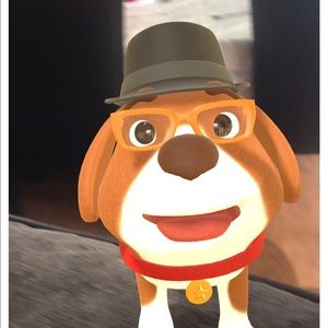 Meet your Posher, Maya